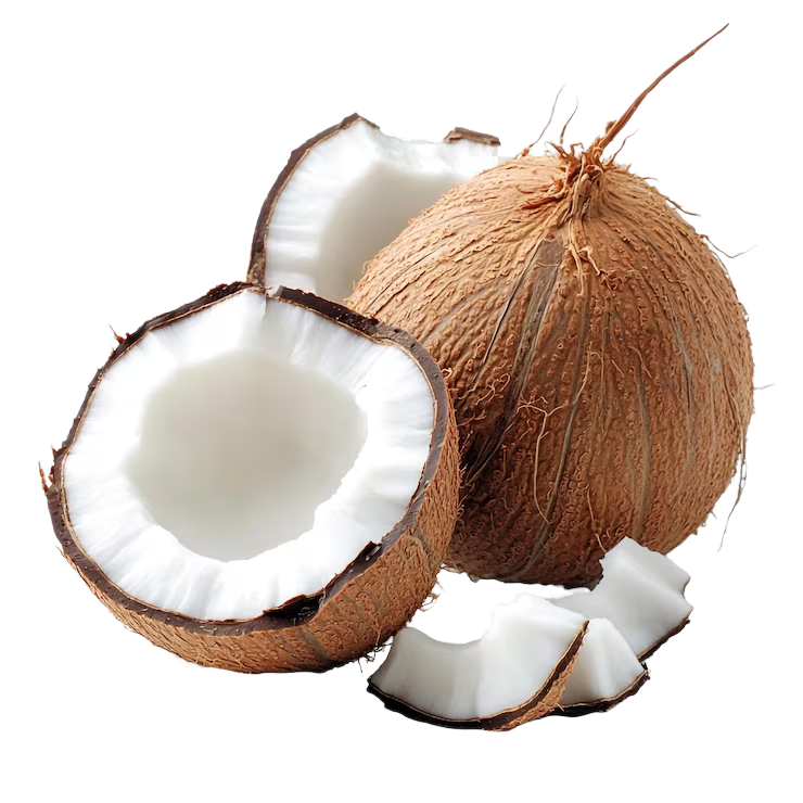 Coconut
